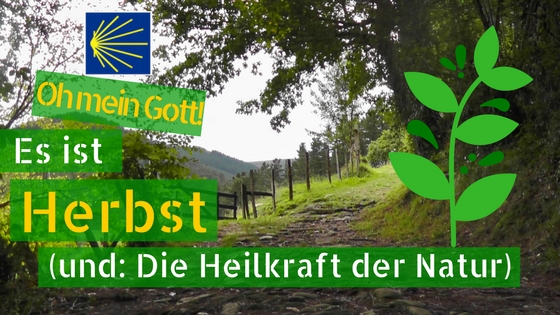 Herbstblues und was hilft 