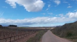 Der Camino Francés ist der bekannteste Jakobsweg mit einer Länge von 800 Km