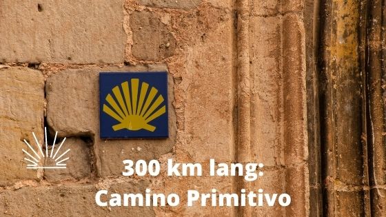 300 km lang Camino Primitivo