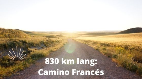 Länge des Camino Francés
