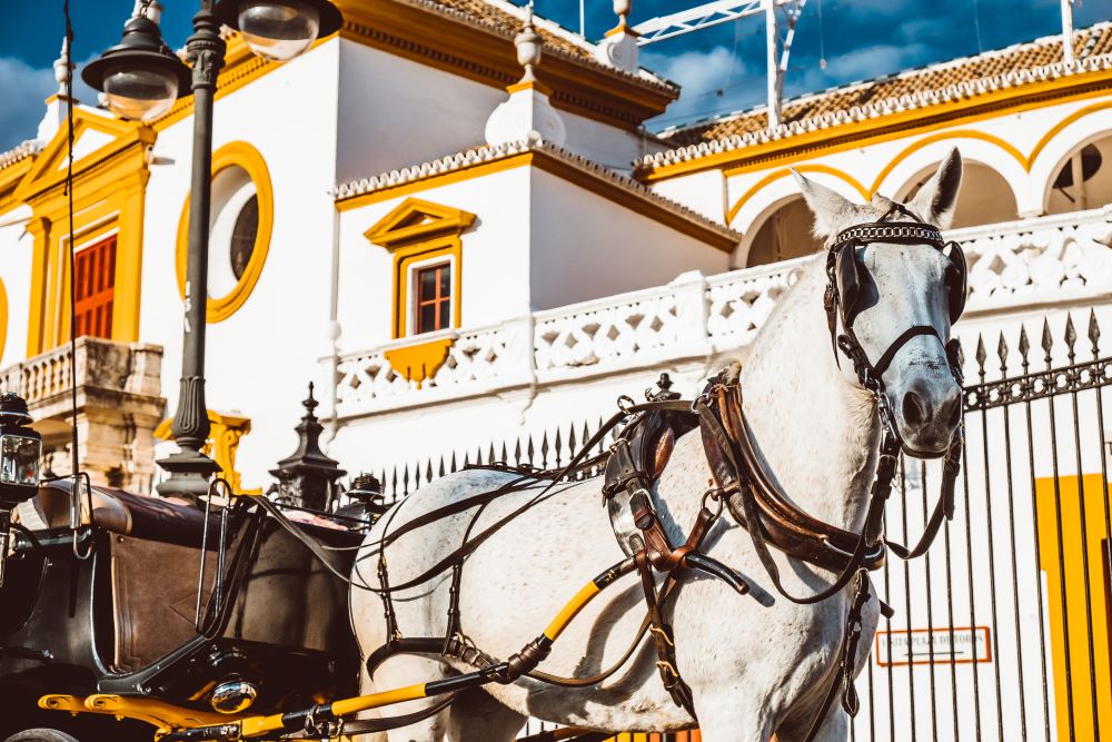 Pferdekutsche vor der Stierkampfarena von Sevilla