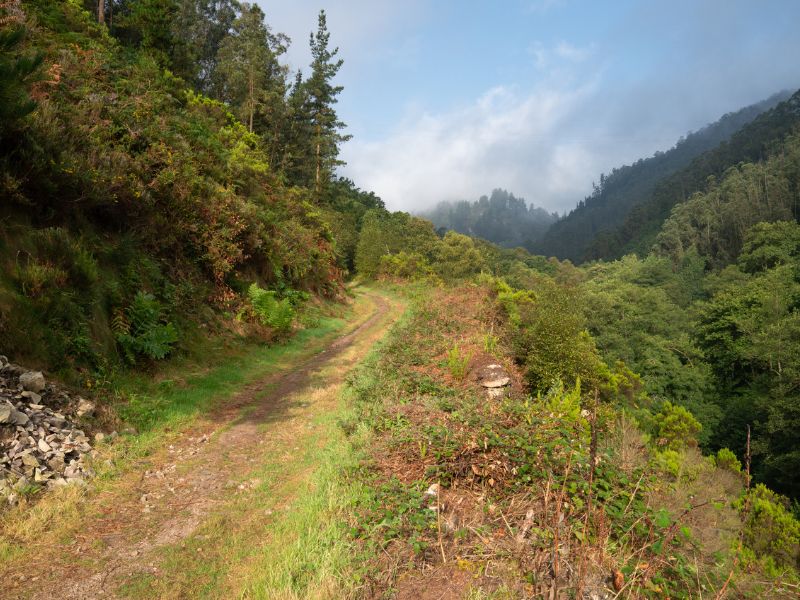 3. Etappe durch die grüne und wolkige Landschaft Asturiens auf dem Primitivo