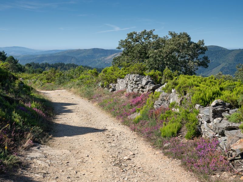 Auf der 8. Etappe von A Fonsagrada nach O Cádavo