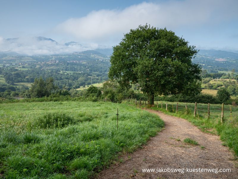 Durch Asturiens Landschaft auf dem Camino Primitivo