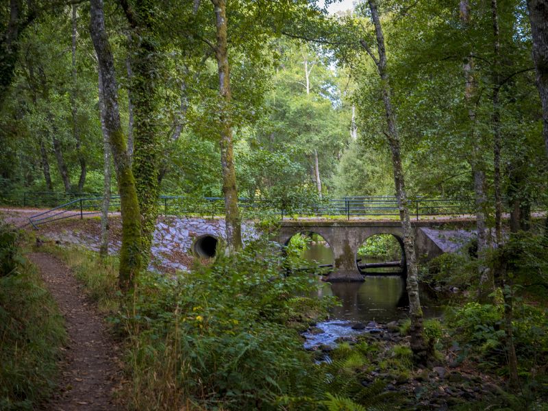 Highlight der Etappe ist der Weg entlang des Fluss Mera