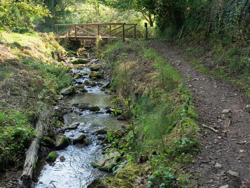 Idyllischer Bachlauf auf der zweiten Etappe des Camino Primitivo