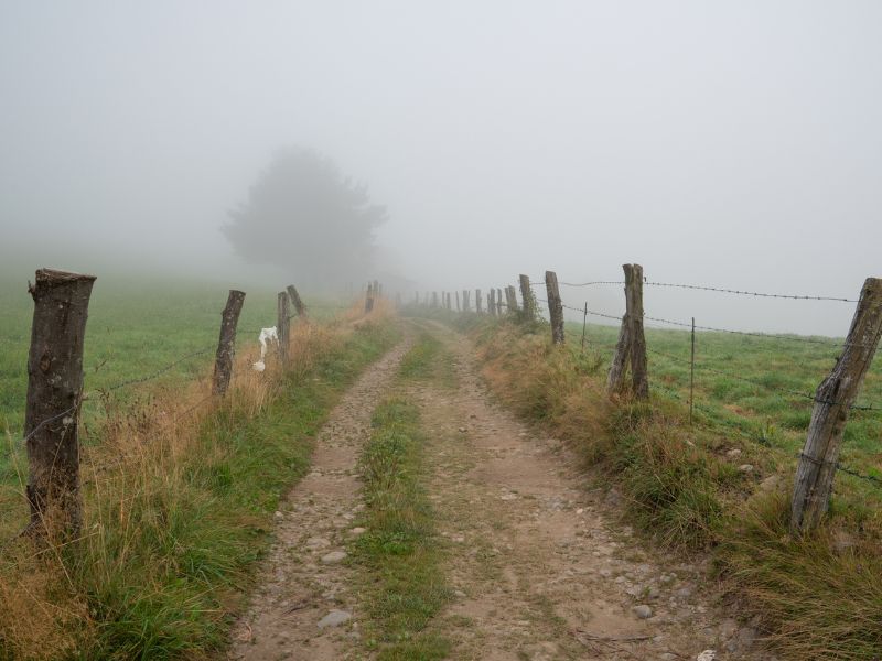 Nebel auf dem Feldweg nach Pola de Allande