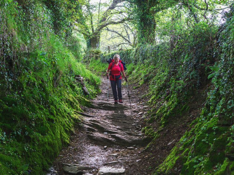 Pilgerin auf den schönen Wanderwegen in Galizien Spanien