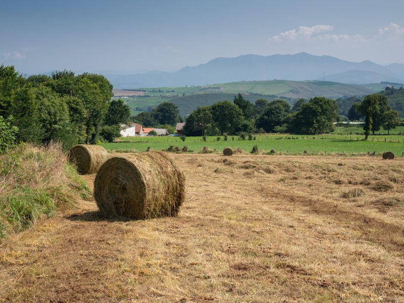 Strohballen und Felder und im Hintergrund Berge am Jakobsweg Primitivo