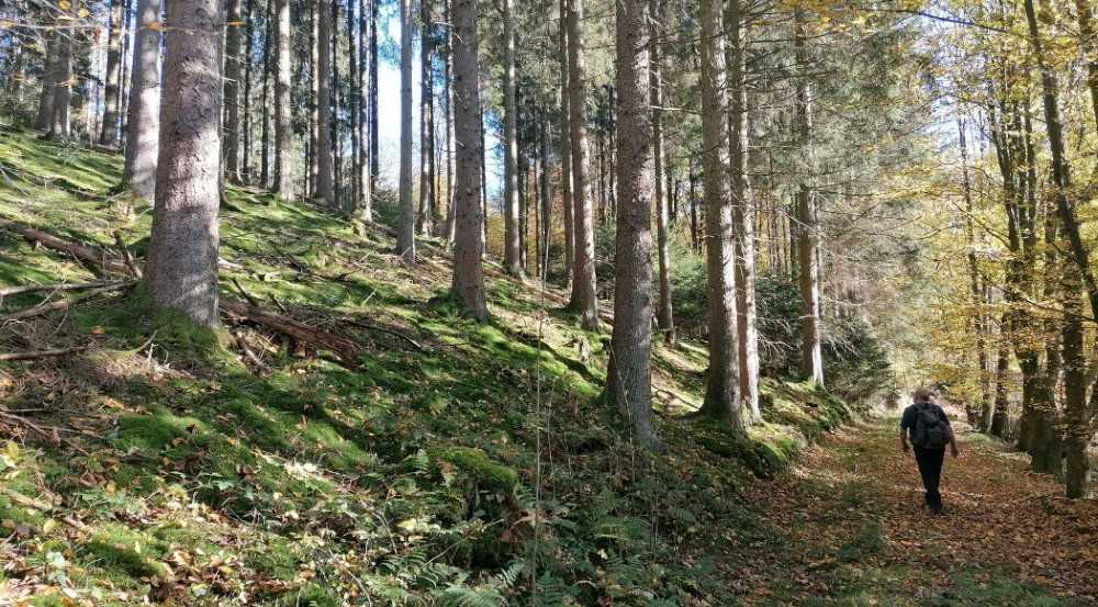 Pilger sollten aus dem Camino kein Wettrennen machen s