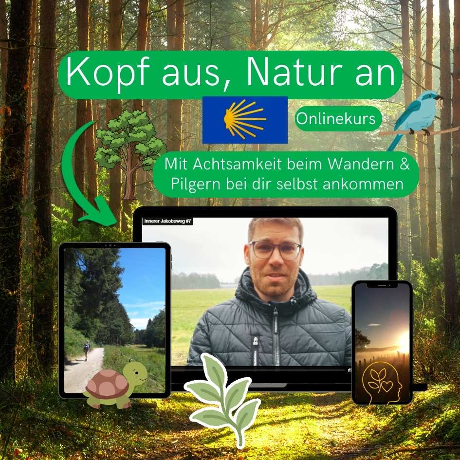 Kopf aus, Natur an Onlinekurs Banner