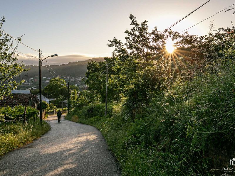 Wenig Berge und wenig Höhenmeter hat der Jakobsweg in Portugal