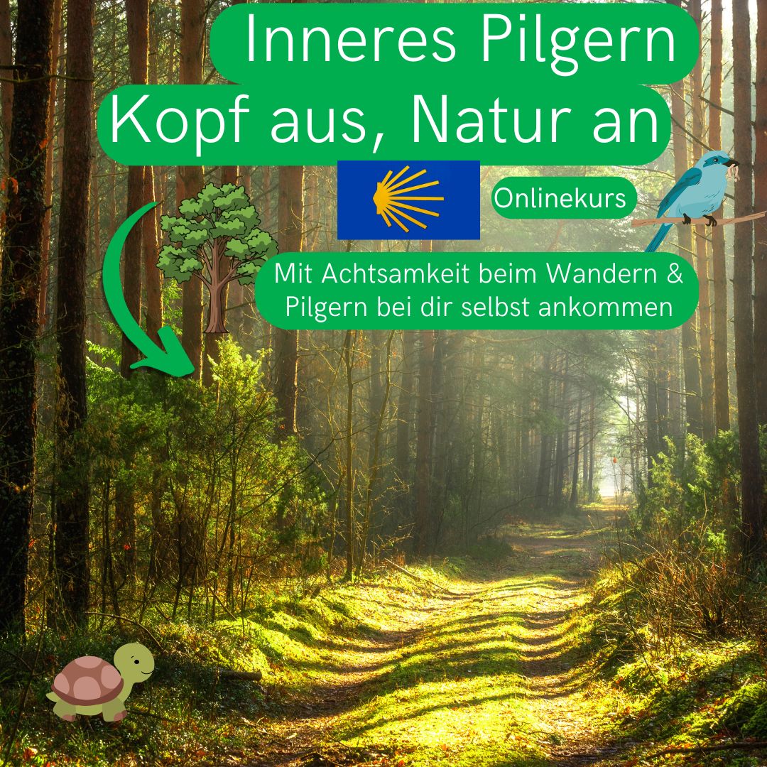 Innerer Jw Kopf aus, Natur an Onlinekurs Banner 2