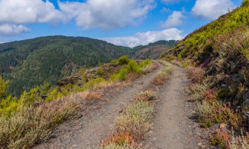 Breiter Wanderweg mit Wolkenhimmel im Hintergrund am Primitivo Jakobsweg