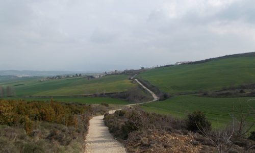 Der Camino Frances ist ein beliebter Jakobsweg bei Anfängern