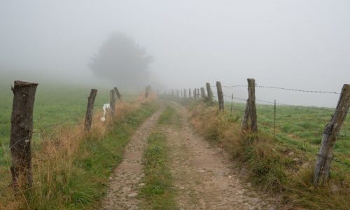 Nebel auf dem Feldweg nach Pola de Allande