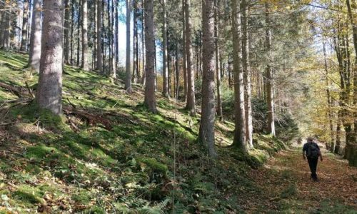 Pilger sollten aus dem Camino kein Wettrennen machen s